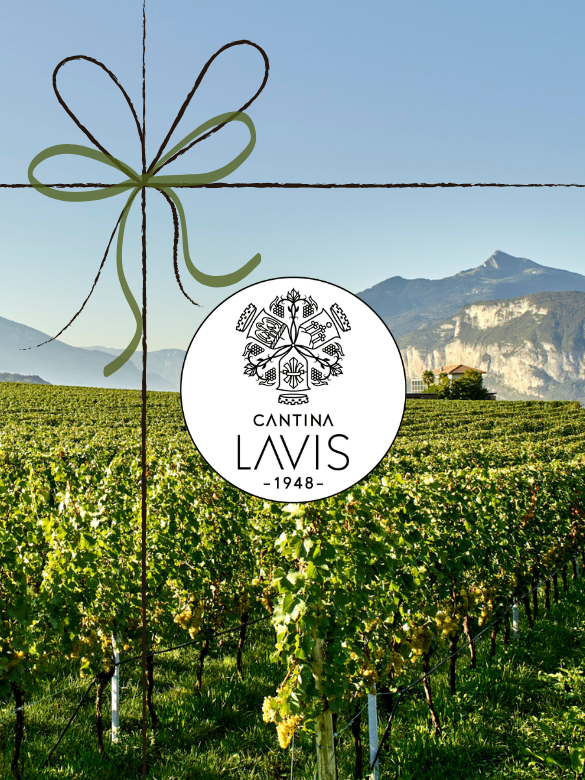 VISITA & DEGUSTAZIONE CLASSICI